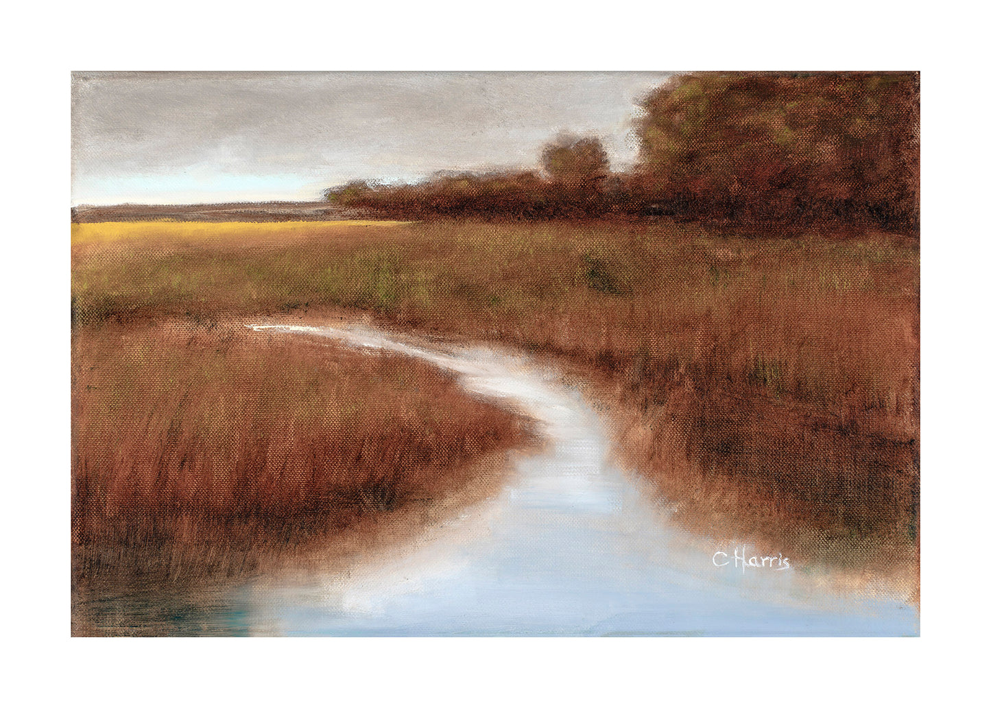 The Marsh